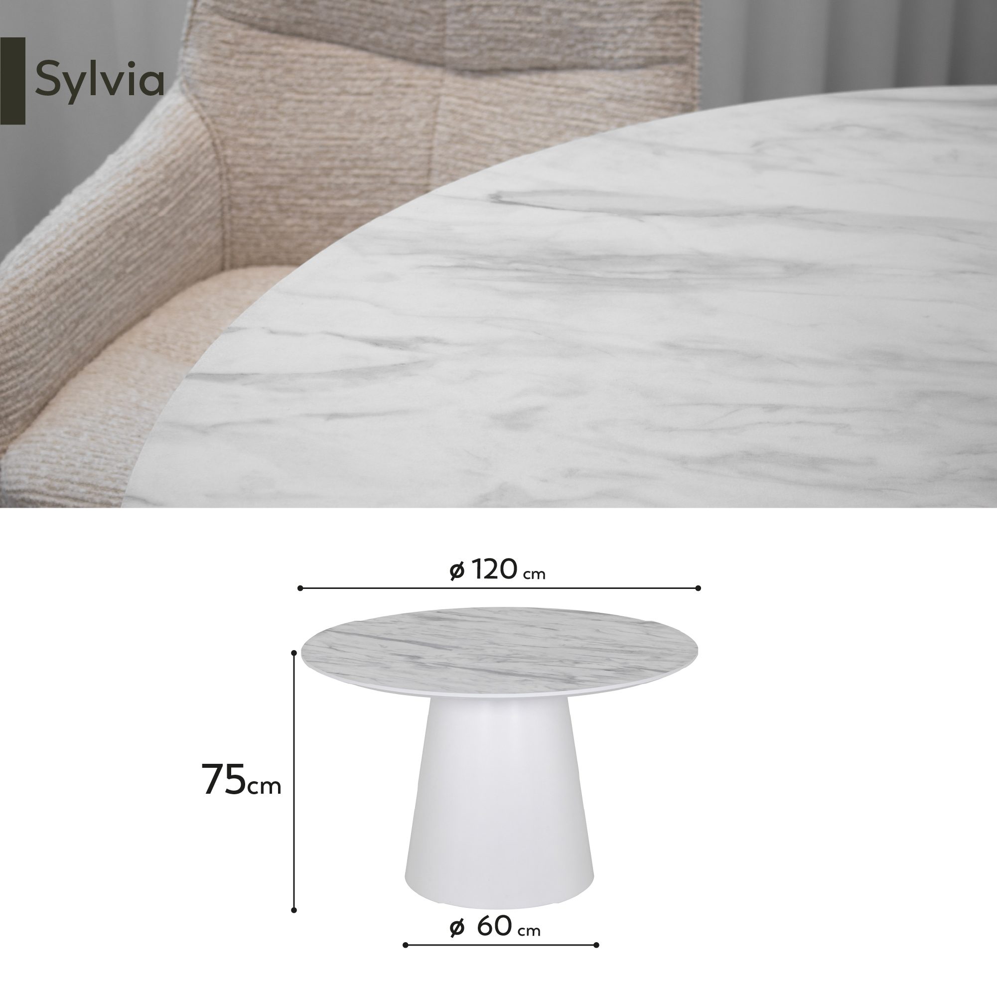 Esstisch SYLVIA | Tischplatte aus Melamin mit stabiler Struktur aus Holzverbundmaterial